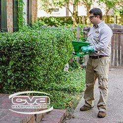 CVA Exterminators, Inc.